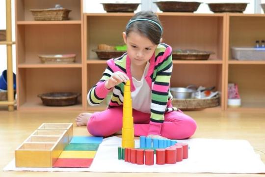 Montessori Yönetimi